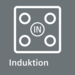 ICON_INDUCTION